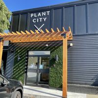 Real lichen(?) on the doorway   at Plant City X in Warwick