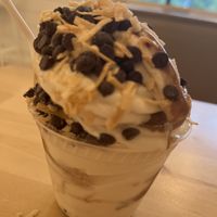 Soft serve vanilla/chocolate ice cream with chocolate chips and coconut flakes   at Plant City X in Warwick