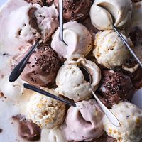 Homemade vegan ice cream 
自家製ヴィーガンアイスクリーム at 8ablish in Toyama