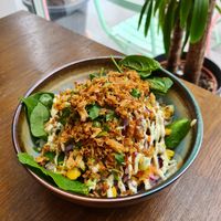  at Apapika Bowls in Vienna