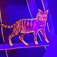 Look for the secret rooms!  at McMenamins in Kalama