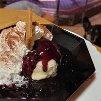 Vegan ice cream with soy cream at Waltini's Stadl in Langdorf