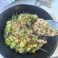 Toasted farro dish   at Avanti in Boulder