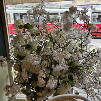   at Crème de la Crème in Vienna