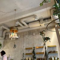   at Crème de la Crème in Vienna