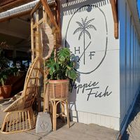  at Hippie Fish in Zandvoort