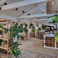  at Hippie Fish in Zandvoort