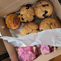  at Maximum Zen in Clarks Summit