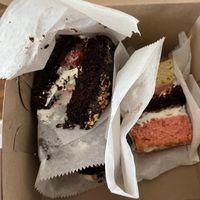   at Maximum Zen in Clarks Summit