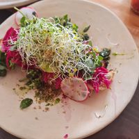 Avocado toast at Aguacate Veggie Bar in San Cristobal De Las Casas