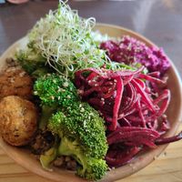 Falafel bowl with fresh vegetables at Aguacate Veggie Bar in San Cristobal De Las Casas