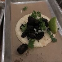 Mushroom taco without cheese at Bartaco in Boston