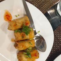 Veg spring rolls at Nepali Food in Faro
