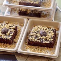 Brownie  at Ruby in Mallorca