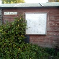  at Pitney Farm Shop in Langport