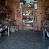  at Pitney Farm Shop in Langport