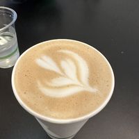   at ROOTED in Walnut Creek