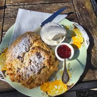 Fruit scone with jam & cream 😋 at Tea by the Lock in York