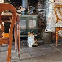  at Tea by the Lock in York