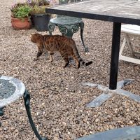  at Tea by the Lock in York