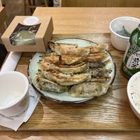 Assortiment de gyoza  at Gyoza House in Paris