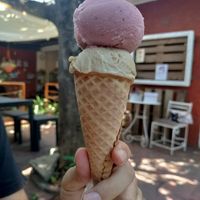 Amazing strawberry and peanut butter vegan ice cream! at Casa Xoxoctic in San Salvador