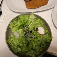 Seasonal salad  at Figlmüller in Vienna