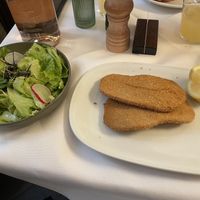 Vegan Schnitzel with green saladd  at Figlmüller in Vienna