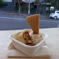  at ditto in Cape Town