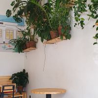 Real plants and vibing music makes me want to sit here for longer... at ditto in Cape Town
