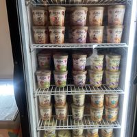 Look at all those vegan flavours!   at ditto in Cape Town