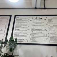 Extensive vegan menu  at ditto in Cape Town