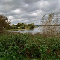 Pitford Reservoir at The Willow Tree Cafe in Brixworth