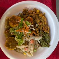 Meal of the day at Kam's Veggi Delight in Felicity