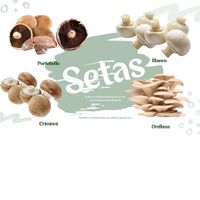 Te ofrecemos cuatro setas diferentes para que deleites tu paladar. ¿Cual prefieres? (Encarga la cantidad que deseas y así garantizamos un alimento fresco en la puerta de tu casa) at Chachafruto Mercado Saludable in Dosquebradas