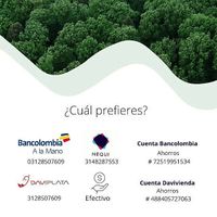 Pago contra entrega. at Chachafruto Mercado Saludable in Dosquebradas