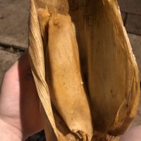 More delicious tamales 🫔   at Manik Bal in Merida