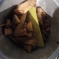  at Manik Bal in Merida