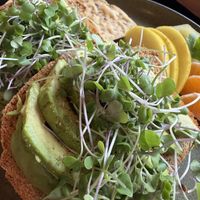 🥑😋  at Ants on a Log Cafe in Corvallis