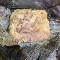 Steam glutinous rice at Grove Cafe 素林 - Northshore Plaza I in Northeast Singapore