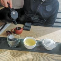  at Comins Tea in Sturminster Newton