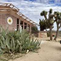 Drive up view. Main entrance is around the left side    at Food for Thought Cafe in Joshua Tree