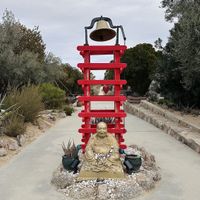 Fun grounds to walk through    at Food for Thought Cafe in Joshua Tree