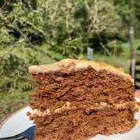 ginger cake at Undercrag Studio & Café in Torver
