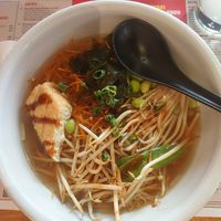 Frühlingserwachen at MoschMosch in Heidelberg