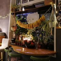 More bananas at Alchemist Garden in Amsterdam