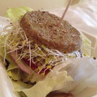 Raw vegan burger at Alchemist Garden in Amsterdam