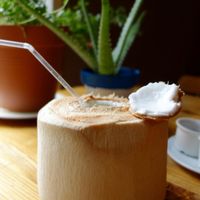 Fresh coconut juice! at Alchemist Garden in Amsterdam
