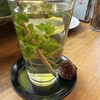   at Alchemist Garden in Amsterdam