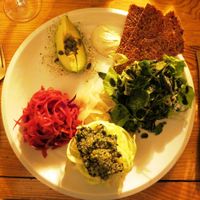 Raw food in Amsterdam at Alchemist Garden in Amsterdam